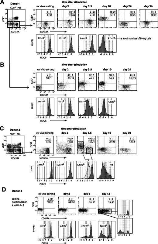 Figure 7. CD45RA and CCR7 expression and proliferation of different CD8+ blood-cell subsets upon stimulation. Blood CD8+ cells were positively selected by magnetic sorting and labeled with an FITC-conjugated anti-CCR7 antibody and a PE-Cy5–conjugated anti-CD45RA antibody. The CD45RA+CCR7– and CD45RA–CCR7– subsets were sorted by flow cytometry, labeled with PKh26, and distributed at approximately 3 × 105 cells per well. Cells were either stimulated with beads coated with anti-CD3 and anti-CD28 antibodies in the presence of 2 U/mL IL-2 (A-C) or kept in culture with 2 U/mL IL-2 (D). Samples were collected at different time points after stimulation, and CD45RA/CCR7 surface expression was evaluated with the antibodies used for the sorting. Quadrant limits were positioned so as to include in the lower left quadrant 99% of the nonlabeled cells, and the numbers correspond to the percentage of cells in each quadrant. Proliferation was measured by the dilution of the Pkh26 dye and the dashed lines correspond to the number of divisions.