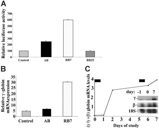 Figure 1. Relative induction of the γ-globin gene promoter by test compounds. (A) GM979 cells containing the integrated cassette (μLCRβprRlucAγprFluc) were assayed for luciferase activity. The ratio of firefly to renilla luciferase is shown for each compound tested: control, arginine butyrate (AB, 2500 μM), RB7 (200 μM), and RB25 (200 μM). Results are reported as relative induction and represent the mean of 4 experiments. Error bars indicate the standard errors of the mean. (B) γ-Globin mRNA induction in adult peripheral blood. Relative γ-globin mRNA expression levels (normalized to β-actin and G3PD transcripts) from cultured adult erythroid cells are shown in untreated control cells (C), or cells cultured with 100 μM arginine butyrate (AB) or 20 μM RB7. γ-Globin mRNA was induced 1.4-fold above control levels in cells cultured with AB, and 6.5-fold above control levels in cells treated with RB7. (C) Induction of fetal globin mRNA by RB7 treatment in an anemic baboon in vivo. Ratios of γ/γ+β-globin mRNA were induced by 2.8-fold and 4-fold above the animal's baseline level after 1 and 2 doses of RB7, respectively. The drug was administered on day 0 and day 5, as indicated by the solid bars above the graph. Insert shows baseline and on-treatment levels of γ-globin mRNA and 18S RNA.