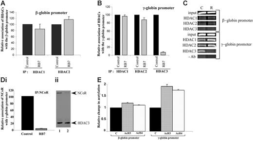 Figure 3. Relative association of class I HDACs at the integrated β- and γ-globin gene promoters. Antibodies to HDAC1, HDAC2, and HDAC3 were used to immunoprecipitate chromatin isolated from GM979 cells cultured in either control conditions or 200 μM RB7. Precipitated DNA was amplified and quantitated by real-time PCR using primers flanking either the β-globin gene promoter (A) or the γ-globin gene promoter (B). For each HDAC antibody used, the presence of the HDAC protein bound at the promoter is represented relative to its control (arbitrarily set at 100). Data represent average of 3 independent experiments; error bars represent the standard error of the mean. (C) Agarose gel showing relative association of HDAC1, HDAC2, and HDAC3 with the beta- and gamma-globin promoters in GM979 cells cultured in either control conditions (C), or in the presence of 200 μM RB7 (R). Results are representative of 3 independent experiments. (Di) ChIP of NCoR at the γ-globin gene promoter. NCoR association with the human γ-globin gene promoter in control and RB7 (200 μM)–treated cells; values are reported relative to the control and are an average of 3 experiments. Error bar indicates standard error of the mean. (Dii) Dissociation of HDAC3/NCoR complex after RB7 treatment. Immunoprecipitation was carried out using HDAC3 antibodies. The immunoblot was performed using antibodies to HDAC3 and NCoR. Lane 1: control cells; lane 2: 200 μM RB7 treatment. (E) Acetylation status of β- and γ-globin gene promoters. Change in acetylation status of histones H3 and H4 at the β- and γ-globin gene promoter 24 hours after GM979 cells were treated with RB7. Values are represented as a percentage of the untreated control (C) and are an average of 3 independent experiments. Error bars represent the standard errors of the mean.