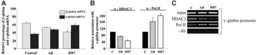 Figure 5. Relative expression of β-globin and γ-globin mRNA in human primary erythroid cells. (A) Globin mRNA analysis by RT-PCR. Cord blood erythroid progenitors were cultured either in control conditions, in the presence of AB (100 μM), or in the presence of RB7 (20 μM), and globin expression was assayed by RT-PCR. Values represent an average of 3 experiments, from independent cord blood specimens; error bars represent the standard errors of the mean. An increase in γ-globin mRNA, and corresponding decrease in the β-globin mRNA, was observed with SCFAD treatment compared with untreated controls. (B) Chromatin immunoprecipitation and quantitative PCR at the endogenous γ-globin gene promoter. Relative association of HDAC3 and RNA polymerase II at the γ-globin gene promoter in cord blood erythroid progenitors determined under control conditions, or with RB7 or AB treatment; error bars represent the standard errors of the mean. (C) Agarose gel showing relative association of HDAC3 and RNA polymerase II with the γ-globin promoter in cord blood erythroid progenitors cultured in either control conditions, AB (100 μM), or RB7 (20 μM). Results are representative of 3 independent experiments.