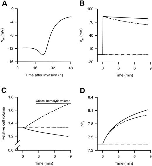 Figure 1. Predicted changes in the Vm of P falciparum–infected RBCs during the asexual reproduction cycle of the parasite and changes in selected homeostatic variables after suspension of 35-hour postinvasion infected RBCs in either high or low ionic-strength media. (A) Predicted changes in the Vm during the asexual reproduction cycle of the parasite. Predicted changes in (B) the Vm, (C) the relative cell volume, and (D) the pHi after suspension of 35-hour postinvasion infected RBCs in iso-osmotic NaCl (dot/dash lines), sucrose (solid lines), and sorbitol (dashed lines) solutions at RT. The experimental protocol used to obtain the data shown in panels B, C, and D was as follows: 35-hour postinvasion infected RBCs were washed into iso-osmotic NaCl solution (pH 7.4) at RT and left for 30 minutes, then the infected RBCs were resuspended for 8.5 minutes in each of the different iso-osmotic solutions at RT. The 8.5-minute time scale depicts the average lysis time for infected RBCs suspended in iso-osmotic sorbitol solution at RT (see Table 2) and was set by adjusting the maximum sorbitol permeability in the model to 2.7 hour–1 (the default values for all other variables were unchanged). Note that the actual NPPB-sensitive rate constant (derived from the sorbitol uptake data measured in iso-osmotic NaCl solution presented in Figure 2A) was 15 ± 3 hour–1 (n = 3) and was not used in the modeling because this resulted in faster than expected lysis rates. A 5-mM external Cl– concentration was used when predicting the effect of low ionic-strength solutions. In panel C, all volumes are expressed relative to the RBC volume at the time of invasion, defined as 1, and the horizontal top line indicates the mean critical hemolytic relative cell volume.