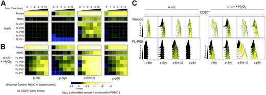 Figure 2. Activation of BCR signaling varies among primary FL samples and contrasts with that of normal B cells and a lymphoma cell line. (A) Flow cytometry analysis of signaling in PBMCs from a healthy blood donor, Ramos cells, and 5 FL patient samples (FL-P07–11) stimulated by BCR cross-linking (α-μ/γ) for various times in a short time course (1, 2, 4, 8, or 16 minutes) or left unstimulated (0 minute). BCR-mediated signaling in the CD20+ B-cell subset was compared by coloring heat map squares relative to the unstimulated PBMC sample. (B) As in panel A, with the addition of H2O2 just prior to BCR cross-linking. (C) Histogram data underlying the heat maps in panels A and B are shown for 2 samples, the lymphoma cell line Ramos and FL-P08.