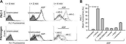 Figure 4. Continuous P2Y12 signaling is required for persistent αIIbβ3 activation. (A) Platelets in PPACK-anticoagulated PRP were activated with ADP (no stirring), and 2 minutes later inhibitors or antagonists were added (Figure 3). At indicated time points, activated αIIbβ3 was detected with FITC-PAC1, and integrin function was analyzed with OG-labeled fibrinogen. Histograms are given of FITC-PAC1 and OG-fibrinogen fluorescence distribution before and after AR-C69931MX addition. (B) Mean FITC-PAC1 fluorescence intensities ± SEM after incubation with inhibitor/antagonist (n = 3-4).