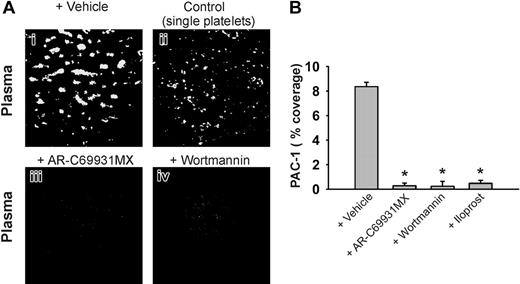 Figure 5. P2Y12 and PI3K signaling is needed for persistent αIIbβ3 activation under flow. (A) Human blood was flowed over VWF/collagen at 1000 s–1 for 4 minutes. Thrombi on coverslips were perfused again for 10 minutes with PPACK-anticoagulated plasma, and stained with FITC-PAC1 (1:20). Indicated antagonists were present during secondary perfusion: vehicle (i), AR-C69931MX (30 μM) (ii-iii), and wortmannin (1 μM) (iv). As a positive control, single platelets on coverslips were allowed to spread on collagen for 20 minutes before staining (ii). Shown are representative fluorescent images (180 × 180 μm) after secondary perfusion. (B) Mean surface area coverage of FITC-PAC1 fluorescence after secondary perfusion (n = 3); iloprost (20 nM) was present as indicated. Mean ± SEM; *P = .05 vs vehicle.