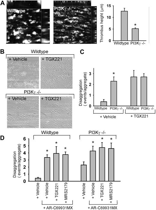 Figure 6. Complementary roles of PI3Kβ and PI3Kγ in stabilization of murine thrombi. (A) Formation of thrombi during flow over VWF/collagen at 1000 s–1 for 4 minutes, recorded by high-speed fluorescence imaging. Blood from wild-type and PI3Kγ–/– mice was labeled with nonblocking AF5-568–anti-GPIb mAb Xia.B2. Left panel shows representative x-y images; partitions represent x-z and y-z cross-sections. Right panel shows height of thrombi after 4 minutes. (B-C) Murine blood containing vehicle or TGX221 (1 μM) was flowed over VWF/collagen. (B) Representative phase-contrast images (120 × 120 μm) after secondary perfusion. (C) Disaggregation events from murine thrombi during 4 minutes of flow. (D) Disaggregation events from murine thrombi in the presence of AR-C69931MX (30 μM) with/without TGX221 (1 μM) or MRS2179 (100 μM). Indicated are numbers of embolizing events (single or clustered) platelets per aggregate. Data are means ± SEM (n = 3-5 experiments; *P < .05 vs vehicle).