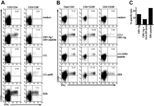 Figure 1. CD4+CD28– T cells are class II–restricted cytotoxic CMV-specific T cells. (A) Dot plots gated on either CD4+ T cells (left column) or CD8+ T cells (right column) show intracellular cytokine staining for IFNγ in unstimulated cells (medium), cells stimulated with CMV Ag (for CD4+ T cells), or CMV peptide (for CD8+ T cells), with a control autologous LCL, or with an autologous LCL transduced with a pp65 construct. SEB is the positive control. Numbers indicate the percentage of CD69+ IFNγ+ cells within total CD4+ or CD8+ T cells, respectively. (B) Dot plots gated on either total CD4+ lymphocytes, CD4+CD28– cells, or CD4+CD28+ cells (from left to right) show intracellular cytokine staining for IFNγ in unstimulated cells (medium), cells stimulated with autologous LCLs loaded with CMV Ag, LCLs loaded with a CMV HLA-DR4–restricted peptide, or with SEB as a positive control. Numbers indicate the percentage of CD69+ IFNγ+ cells within the population shown. (C) Graph shows the percentage of specific lysis measured in a 51Cr-release assay of total PBMCs using either CMV Ag or CMV HLA-DR4–restricted peptide–loaded autologous LCLs as target cells. The second bar shows the percentage of lysis of CMV Ag–loaded autologous LCLs in the presence of a class II–blocking antibody.