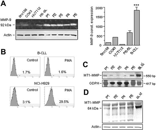 Figure 1. Constitutive expression of MMPs in B-CLL. (A) Lysates from 2 × 106 fresh B-CLL cells from 5 different patients (P1-P5), peripheral blood B lymphocytes (PB-BL), or EBV-transformed normal B cells (Bro168, CO43, HUT112) were analyzed by gelatin zymography on 10% gels. MMP-9 was identified as the 92-kDa proactive form. Actin was analyzed in identical aliquots from the same lysates by Western blotting and used as control for protein loading. Quantitative values represent the average of 2 different samples for PB-BL and 12 different samples for B-CLL. Error bars indicate standard deviation. *** P < .001. (B) Flow cytometric analysis of MT1-MMP surface expression in B-CLL cells from one patient or NCI-H929 myeloma cells, without (Control) or with PMA (50 ng/mL, 24 hours). (C) RT-PCR analysis of constitutive MT1-MMP mRNA expression in B-CLL cells from patients 1 to 5. BLM melanoma cells were included as positive control. (D) Lysates from 4 different B-CLL samples or BLM cells were analyzed by Western blotting, and MT1-MMP was identified using the LEM2/15 mAb.