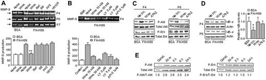 Figure 3. α4β1 integrin–induced MMP-9 up-regulation involves the PI3-K/Akt signaling pathway. (A) B-CLL cells from 3 different patients were incubated or not with either 30 nM wortmannin (Wmn) or 5 μM of the following: Bis I, SB203580 (SB), PP2, and UO126 for 1 hour at 37°C, and added to FN-H89–coated wells. Cells untreated or treated with 30 nM Wmn were also added to BSA-coated wells. After 24 hours, the conditioned media were concentrated and analyzed by gelatin zymography, and MMP-9 secretion was quantitated. Basal levels of MMP-9 on BSA were normalized to 100, and values represent arbitrary units. (B) B-CLL cells from one patient were preincubated for 1 hour with the indicated concentrations of wortmannin, LY294002 (LY), or API-2, and added to FN-H89–coated wells. After 24 hours, the conditioned media were analyzed by gelatin zymography. Values represent the average of duplicate determinations. (C) B-CLL cells (2 × 106) from 2 patients were incubated on 0.5% BSA or 10 μg/mL FN-H89 in the absence or presence of wortmannin or API-2. Cells were lysed after 24 hours and phosphorylated, and total Akt and ERK were analyzed by Western blotting using specific Abs. (D) The same lysates used in panel C were also analyzed by Western blotting using specific Abs to IκB-α. Relative IκB-α levels were quantitated and values represent the average of the 2 samples studied. IκB-α levels of cells on BSA were normalized to 1. (E) B-CLL cells (2 × 106) from one patient were incubated on 0.5% BSA or 10 μg/mL FN-H89, and at the indicated times phospho-Akt and phospho-ERK were analyzed as explained. Relative P-Akt and P-ERK levels were quantitated and constitutive levels were normalized to 1. Error bars indicate standard deviation. * P < .05; ** P < .01.