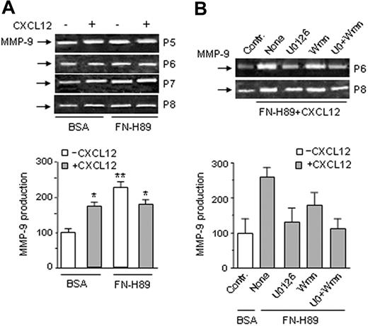 Figure 5. α4β1 integrin and CXCL12 independently enhance MMP-9 production in B-CLL cells. (A) B-CLL cells from 4 different patients were added to BSA- or FN-H89–coated wells and in the presence or absence of 150 ng/mL CXCL12. After 24 hours, MMP-9 secretion was analyzed by gelatin zymography and quantitated. Basal MMP-9 levels of cells on BSA and without CXCL12 were normalized to 100. (B) B-CLL cells from 2 patients were incubated on FN-H89 in the presence or absence (None) of the indicated kinase inhibitors. CXCL12 (150 ng/mL) was also added to the cells. Control cells (Contr) were incubated in 0.5% BSA and without CXCL12. The conditioned media were collected after 24 hours and MMP-9 was quantitated. Basal values were normalized to 100. * P < .05; ** P < .01.