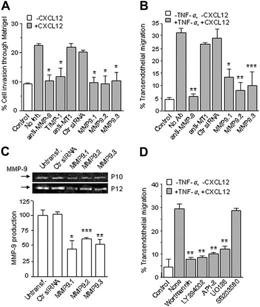 Figure 6. Role of MMP-9 in B-CLL migration through Matrigel and HUVECs. (A) B-CLL cells (5 × 105) from 3 different patients, with or without previous incubation with the indicated Abs (10 μg/mL), TIMP-1 (1.5 nM), or transfected with control siRNA or 3 different MMP-9 siRNAs (MMP9.1, MMP9.2, and MMP9.3), were added to the upper chamber of Transwell filters coated with Matrigel. CXCL12 (150 ng/mL) was added to the medium in the bottom chamber, except for the control. After 24 hours, invasive cells were counted by flow cytometry. Values represent the average of the 3 samples studied and are expressed as the percentage of total cells added. (B) B-CLL cells from 3 patients, with or without previous incubation with the indicated Abs, or transfected with the same siRNAs shown in panel A, were added to Transwell filters previously coated with inactivated (control) or TNF-α–activated HUVECs. CXCL12 was added to the bottom chamber except for the control. After 24 hours, transmigrated cells in the bottom chamber were counted by flow cytometry. Values represent the average of the 3 samples studied. (C) Transfected B-CLL cells from 2 patients were incubated for 24 hours, and the conditioned medium was concentrated and analyzed by gelatin zymography. Values are the average of the 2 samples studied. (D) B-CLL cells (5 × 105) from 2 different patients were incubated for 1 hour with the indicated inhibitor or with medium (None) and added to Transwell filters coated with TNF-α–activated HUVECs. Control cells were added to inactivated HUVECs. After 24 hours, cells in the bottom chamber were counted by flow cytometry. Values represent the average of the 2 samples studied. * P < .05; ** P < .01; *** P < .001.