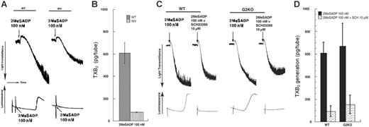 Figure 2. 2MeSADP-induced platelet aggregation, dense granule secretion, and TXA2 generation in WV and G2KO mouse platelets. Washed and non–aspirin-treated WT and WV mouse platelets (A-B) or WT and G2KO mouse platelets (C-D) were stimulated with 2MeSADP (100 nM), in the absence of exogenously added fibrinogen, for 3.5 minutes at 37°C under stirring conditions, and platelet aggregation (A,C) or TXB2 levels (B,D) were measured as described in “Materials and methods.” The data are represented as the percent maximal TXB2 generated by 2MeSADP in WT platelets. In panels A and C, corresponding luminescence in each sample was recorded. Each bar is the average of 3 experiments ± SEM from 3 different donors.