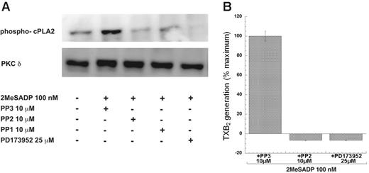 Figure 5. Effect of Src kinase inhibitors on 2MeSADP-induced cPLA2 phosphorylation and TXA2 generation. Washed and aspirin-treated human platelets were stimulated with 2MeSADP (100 nM), in the presence of fibrinogen (1 mg/mL) under stirring conditions for 60 seconds at 37°C (A). As per the requirement, platelets were preincubated with PP3 (10 μM), PP2 (10 μM), or PD173952 (25 μM) for 10 minutes at 37°C. The reaction was stopped using 3X sample loading buffer (with DTT). The lysates were subjected to Western blotting analysis and probed with phospho-cPLA2 (Ser505) and PKCδ (lane loading control) (A). In the case of TXB2 measurement (B), platelets were stimulated in the presence of Src kinase inhibitors or the inactive analog for 3.5 minutes at 37°C, following which the reactions were stopped and TXB2 levels were analyzed as described in “Materials and methods.” The data are represented as the percent maximal TXB2 generated by 2MeSADP in the absence of inhibitors. Each bar is the average of 3 experiments ± SEM from 3 different donors.