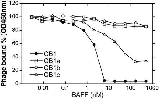 Figure 1. Characterization of initial BR3 Fab phage selectants. Phage binding to mBR3-coated ELISA wells in the presence of BAFF.