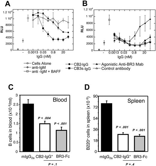 Figure 6. Antagonistic properties of CB1 variants in vitro and in vivo. (A) CB2-IgG and CB3s-IgG inhibit BAFF/anti-IgM costimulated primary human B-cell proliferation as described in “Materials and methods.” (B) Human B cells were treated with anti-IgM and increasing concentrations of control, CB2-IgG, CB3s-IgG, or a hybridoma-derived agonistic anti-BR3 antibody control. Only the agonistic antibody showed dose-dependent B-cell proliferation. (C) Blood and (D) spleen B-cell numbers in groups of 5 Balb/C mice 6 days after treating with control, BR3-Fc, and CB2-IgG* (IgG with ablated Fc-mediated effector function). Error bars indicate standard error of the mean (SEM) of 5 mice per group.