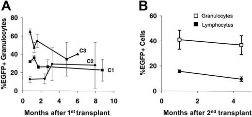 Figure 7. Long-term transgene expression following CDD gene transfer. Percentages (mean ± SEM) of EGFP-expressing peripheral blood granulocytes (and lymphocytes) are given for untreated primary (n = 3, each) recipients from experiments C1-3 (A) and secondary recipients (n = 8) given transplants with bone marrow from animals of experiment C1 (B). Donors were animals from the CDD group following application of 3 cytarabine treatment cycles at 500 mg/kg (intraperitoneally; days 1-4).