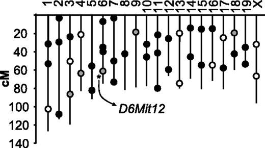 Figure 3. Location of polymorphic DNA markers used for the (A/J × CASA/RkJ) F2 genome scan. Black circles represent unlinked markers, open circles represent failed or indeterminate markers, and gray circles designate markers with suggestive linkage by visual assessment of pooled samples. After examining individual genotypes within the pools, only D6Mit12 achieved statistically significant linkage (asterisk). This linkage was subsequently confirmed after extended genotype analysis of the entire F2 population (n = 200).