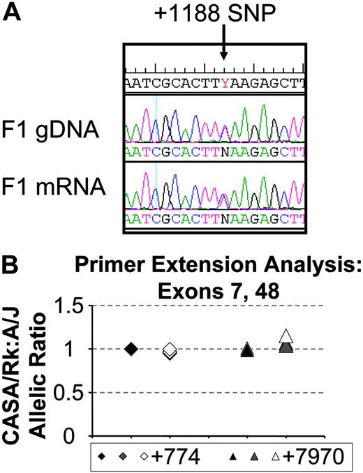 Figure 5. Analysis of VWF allelic expression. (A) Chromatogram comparison between F1 gDNA sequence (top) and F1 mRNA sequence (bottom) flanking the +1188 SNP. CASA/RkJ sequence encodes a T at this position, A/J a C. The F1 gDNA and mRNA show similar sized superimposed peaks of C and T at this position, consistent with similar mRNA expression from both alleles. (B) Primer extension analysis on gDNA (black symbols), mRNA (gray symbols), and mRNA amplified across an intron (open symbols) at SNP +774 (diamonds) and SNP +7970 (triangles). Symbols represent individual measurements, and all but one sample were assayed in duplicate.