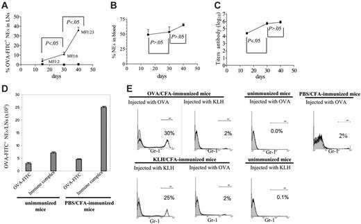 Figure 4. Influx of OVA-FITC+ neutrophils in LNs increases with the number of immunizations and requires an antigen-specific response. (A-C) Mice were immunized with OVA/CFA on days 0, 15, and 30. (A) After the first (day 15), second (day 30), or third (day 40) immunization, mice were injected with OVA-FITC (▴) or PBS (▪), and 6 hours later LNs were obtained and the percentages of OVA-FITC+ NEs were measured by flow cytometry. Each point represents the mean ± SD. (B) The percentage of NEs in smears of peripheral blood stained with May-Grünwald-Giemsa was evaluated on days 15, 30, and 40. Each point represents the mean ± SD. The value of NEs in peripheral blood from unimmunized mice was 20% ± 5%. (C) Plasma from individual immune mice was assayed for anti–OVA IgG by ELISA on days 15, 30, and 40. Each point represents the mean of specific antibody titers (log10) ± SD. IgG antibody titers were calculated as the reciprocal of the last plasma dilution that yielded an A490 above that of the double-mean value of preimmune plasma. (D) OVA-antibody complexes or soluble OVA-FITC were injected in unimmunized or PBS/CFA-immunized animals. Six hours after injection, LN cells were counted, and fluorescent cells were analyzed by flow cytometry. Results are expressed as the mean number of OVA-FITC+ NEs/LNs ± SD. (E) OVA/CFA-immunized or KLH/CFA-immunized mice (day 40) were injected in the footpad with OVA or KLH. As the control, a group of mice were immunized with PBS/CFA and injected (day 40) with OVA. After 6 hours, LNs were obtained, and the cells were stained with anti–Gr-1 and analyzed by flow cytometry. The percentage of NEs (Gr-1high) is indicated (black line); the gray area corresponds to cells stained with isotype-matched control antibody. One typical experiment of 4 performed is shown (n = 3-4 mice per group).