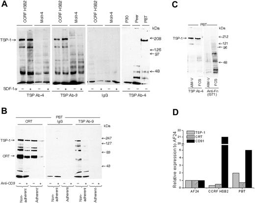 Figure 2. T lymphocytes express TSP-1 and CRT on the cell surface. (A) TSP-1 expression in T-cell lines (CCRF HSB2, Molt-4, P30, and Peer) and normal peripheral blood T cells (PBTs; 93% CD3+) in suspension as detected by gel analysis (6% SDS-PAGE) of immunoprecipitated material from biotinylated cells using 2 different monoclonal antibodies to TSP-1. The cell lines were cultured with and without SDF-1α for 30 minutes before biotinylation. (B) SDS-PAGE gels (6%) showing CRT and TSP-1 in normal T cells (96% CD3+) allowed to adhere to a fibronectin-coated (10 μg/mL) surface for 15 minutes before biotinylation and immunoprecipitation. The cells had been incubated with or without anti-CD3 and a cross-linking anti-immunoglobulin for 30 minutes before the adhesion. (C) Detection of TSP-1 and fibronectin after blotting of SDS-PAGE–separated material from T cells in suspension cultured in RPMI with 10% FCS or in AIM-V, respectively. (D) Relative expression of mRNA for CRT, TSP-1, and CD91 in T cells determined by real-time PCR. CCRF HSB2, AF24, and PBTs show significant mRNA expression for all 3 proteins. One representative experiment of 2 to 8 independent experiments is shown.