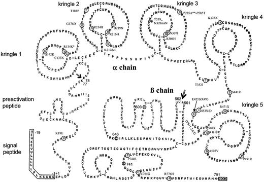 Figure 1. Structure of the PLG protein and the localization of mutations reported in this study. (Reprinted from Petersen et al14 in modified form with permission of the American Society for Biochimistry and Molecular Biology and the Journal of Biological Chemistry.) Light gray circles indicate the position of mutations (missense and nonsense mutations, deletions); black triangles (insertions, splice-site mutations), PLG gene mutations; and a white circle, polymorphism 453N/D. *Mutant R134K has already been identified in a patient with ligneous conjunctivitis and vaginitis12 and was studied here by transient in vitro expression. **Mutant P285A has been identified recently in a patient with ligneous cervicitis15 and was studied here by transient in vitro expression.
