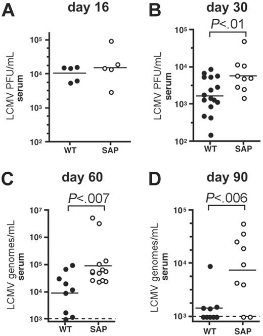 Figure 2. Prolonged viremia in chronically infected SAP– mice. (A) Viremia in wild-type (WT) and SAP– mice was measured by LCMV plaque assay at day 16 after LCMVcl13 infection. Viral loads were similar in wild-type and SAP– mice (P > .05). (B) Viremia in wild-type and SAP– mice was measured by LCMV plaque assay at day 30 after LCMVcl13 infection. Viral loads were 3-fold higher in SAP– mice than in WT mice (P < .01). (C) Viremia was determined 60 days after infection by QPCR for LCMV genomes per milliliter. Viremia in SAP– mice was 10-fold higher than in WT mice (P < .007). Limit of detection was 103 copies per milliliter. (D) Viremia was determined 90 days after infection by QPCR for LCMV genomes per milliliter. Viremia in SAP– mice was 6-fold higher than in WT mice (P < .006). Composite data from 3 independent experiments are shown.