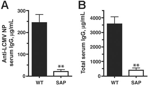 Figure 4. Impaired antibody response during a chronic viral infection in SAP– mice. Serum antibody levels were determined by quantitative ELISA at day 30 of chronic LCMVcl13 infection. (A) Anti-LCMV serum IgG concentration was 12-fold higher in WT than in SAP– mice (P < .007) (WT, n = 13; SAP–, n = 4). Data are representative of 3 independent experiments. (B) Total serum IgG concentration was 9-fold higher in WT than in SAP– mice (P < .003).