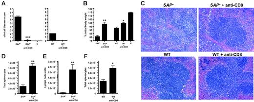 Figure 7. SAP– immunopathology is CD8 T-cell mediated. SAP– mice and SAP– mice depleted of CD8 T cells (SAP– + anti-CD8) were infected with 4 × 106 PFU LCMVcl13 and examined for immunopathology. (A) Clinical illness. Mice were examined visually and assigned a composite score based on signs of illness (ruffled fur, mobility, hunched back; maximum possible score, 9; normal health, 0). CD8-depleted SAP– mice were significantly healthier than normal SAP– mice (P < .001) (left panel); n indicates uninfected, naive control mouse. Clinical disease was also ameliorated in WT mice depleted of CD8 T cells, as expected (right panel). SAP–,n = 4; SAP– + anti-CD8; n = 4; WT, n = 4; WT + anti-CD8, n = 4; naives, n = 2. (B) Body weight 1 week after infection. Weight loss was significantly worse in normal SAP– mice than in CD8-depleted SAP– mice (P < .01). (C) Spleen histology day 8 after infection. Sections were fixed in formalin and then counterstained with hematoxylin and eosin. A representative white pulp region is shown for SAP– and SAP– + anti-CD8 tissue sections (top panels). Extensive disruption of the white pulp and splenic architecture is present in SAP– mice, in contrast with SAP– mice treated with anti-CD8 antibody. Bottom panels show sections from treated and untreated WT mice infected with LCMVcl13. (D) Spleen cell counts day 8 after infection. Spleens from intact SAP– mice were significantly smaller and more acellular than spleens from CD8-depleted SAP– mice (P < .01). (E) Lymph node (axillary) cell counts day 8 after infection. (F) Wild-type spleen cell counts day 8 after infection. All data are representative of 3 independent experiments. *P < .05. **P < .01. ***P < .001.