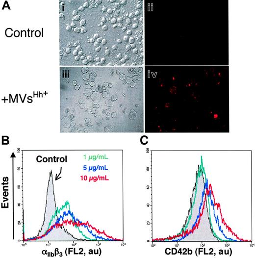 Figure 2. Effect of MVs on the expression of cell-surface markers characteristic of megakaryocytic differentiation of K562 cells. (A) Cells were treated for 72 hours with medium (control, i-ii) or 5 μg/mL membrane MVs (with respect to protein content) obtained from CEM T cells treated with PHA/PMA/act D (iii-iv). Expression of αIIbβ3 (ii,iv) was detected by fluorescence microscopy after exposure to antibody to αIIb and revelation by phycoerythrin-labeled anti–mouse IgG. Panels i and iii show the corresponding phase-contrast images (original magnification ×40). (B-C) Flow cytometry histograms showing MV concentration dependence of the surface expression levels of αIIbβ3 and CD42b by K562 cells treated with either medium (control) or 1 to 10 μg/mL membrane MVs obtained from CEM T cells treated with PHA/PMA/act D. Fluorescence (FL2, red fluorescence channel intensity, log scale) is expressed in arbitrary units (au). The respective increases of mean fluorescence intensity (± SEM) reflecting the expression level of αIIbβ3 and CD42b after treatment by PHA/PMA/act D or PHA/act D–generated MVs are indicated in Table 1.