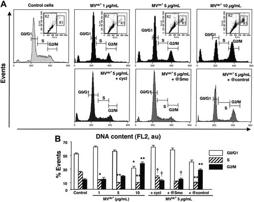 Figure 5. Changes in cell-cycle distribution of K562 cells induced by modulation of the Hh pathway. Cells growing asynchronously were preincubated for 30 minutes in the presence of medium (control), 30 μM cyclopamine (cycl), anti-Smo (@Smo; 1:150) or preimmune (@control; 1:150) sera, and treated with MVs generated from PHA/PMA/act D-treated CEM T cells (Hh+ MVs) for 72 hours, and were then stained with propidium iodide. Cell cycle was analyzed by flow cytometry. (A) Histograms represent the content of R2 gates corresponding to subpopulation with less than 4N DNA content as shown in inset dot plots. Dot plots were displayed as FL2-A versus FL2-W to show nuclei doublets. R1 and R2 gates correspond to populations with more than 4N and less than 4N DNA content, respectively. Fluorescence (FL2, red fluorescence channel intensity) is expressed in arbitrary units (au). Seven experiments yielding similar results were performed. (B) Histograms representing the mean (± SEM) of number of events reflecting each cycle phase of cells preincubated for 30 minutes in the presence of medium (control), 30 μM cyclopamine (cycl), anti-Smo (@Smo; 1:150) or preimmune (@control; 1:150) sera and treated with MVs generated from PHA/PMA/act D-treated CEM T cells (Hh+ MVs) for 72 hours. *P < .05, **P < .01, significantly different from nontreated control cells; †P < .05, significantly different from 5-μg/mL MV-treated cells.
