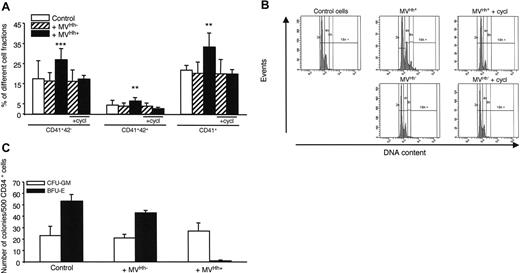Figure 6. Effect of MVs on primary CD34+ cell differentiation and colony formation. (A) CD34+ cells were purified from blood cord samples and incubated with either medium (control), or 5 μg/mL MVs generated from act D-treated (MVHh–) or PHA/PMA/act D-treated (MVHh+) CEM T cells, in the absence or in the presence of cyclopamine (cycl, 15 μM). After 6 days of exposure to MVs, cells were triple-stained and sorted on different fractions according to CD34, CD41, and CD42 expression analyzed by flow cytometry.32 Three experiments yielding similar results were performed, values are expressed as mean ± SEM (bars). **P < .01, ***P < .001, significantly different from MVHh–-treated cells. (B) CD34+ cells were obtained as previously described and then incubated with either medium (control), or 5 μg/mL MVHh– or MVHh+, in the absence or in the presence of cyclopamine. Polyploidization of CD34+ cells was measured by flow cytometry. (C) CFU-GM and BFU-E colony formation from peripheral blood CD34+ cells. CD34+ cells were plated in methylcellulose in the presence of a combination of SCF, IL-6, IL-3, and erythropoietin (Epo) for 12 days. Colonies were scored under an inverted microscope. All results are expressed per 500 CD34+ cells.