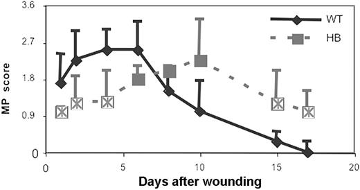 Figure 5. Macrophage infiltration into skin wounds in WT and HB mice. Macrophage influx was scored as described in “Materials and methods.” Scores were averaged for 2 sections of 3 to 5 wounds at each time point and the means and SDs are plotted. Points that are significantly different from WT are indicated by “×.”