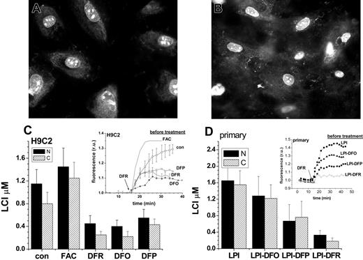 Figure 4. Chelator access to nuclear and cytosolic labile cell iron pools as sensed by histone-conjugated CALG and rhodamine B (CALG-H-R). H9C2 (A) and primary cardiomyocytes (B) were initially loaded for 1 hour with CALG-H-R (12 μM) at room temperature and washed as described in “Materials and methods.” The fluorescence microscopy images show the predominantly nuclear and partially cytosolic distribution of the probe, which was found to be maintained for over 24 hours. The cells loaded with CALG-H-R were incubated for 24 hours in the presence of the indicated additives. (C) CALG-H-R loaded H9C2 cells in complete growth medium supplemented with FAC (50 μM), DFR (50 μM), DFO (100 μM)), DFP (50 μM), or with no addition (con). (D) CALG-H-R loaded primary cardiomyocytes incubated in 30% human serum containing 2 μM LPI final concentration (LPI), which was supplemented with 10 μM DFO (LPI-DFO) or 50 μM DFR (LPI-DFR) or 50 μM DFP (LPI-DFP). Panels C and D depict the LCI values for nuclear (N, ▪) and cytosolic (C, ▨) compartments estimated by analysis of images obtained before and after addition of excess permeant chelator (DFR 200 μM, applied for the purpose of attaining maximal recovery of fluorescence) and normalized to the initial fluorescence. The insets show the kinetics of the changes in nuclear fluorescence in response to 200 μM DFR (indicated by arrow), based on a mean of 3 to 5 cells in a field. The various preincubation conditions are indicated for each trace. Error bars indicate SD (n = 4).