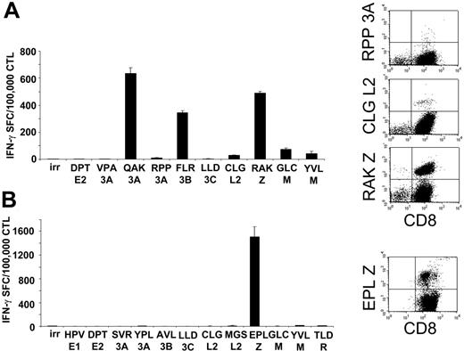 Figure 2. Spectrum of EBV antigen specificity of the CTL lines. The majority of the CTLs generated from SOT patients are directed against lytic EBV antigens (Table 2). Two representative CTL lines analyzed for the presence of EBV-latent and -lytic specificities with IFN-γ ELISPOT assay and tetramers are shown. For IFN-γ ELISPOT assay (left panels), CTLs (1 × 105/well) were stimulated with a panel of peptides representing described epitopes that were informative based on the patients' HLA type. Results are shown as the mean of triplicate wells ± SD. Right panels show the same CTL lines tested using EBV-specific tetramers available for these patients based on their HLA type. Peptides are described in “Patients, materials, and methods,” under “Peptides and tetramer staining.” irr indicates irrelevant peptide.