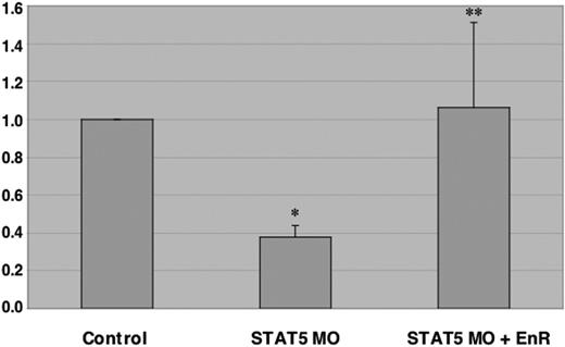 Figure 5. Globin transcript levels are dependent on STAT5 repressor activity. Embryos were injected with a control morpholino or the STAT5 morpholino (STAT5 MO) and, in addition, 1 ng RNA encoding STAT5-EnR, or RNA encoding lacZ as a control. Embryos were harvested at stage 24-25 and RNA processed for quantitative RT-PCR assays. Each independent sample consisted of a pool of 50 embryos. The median of each sample was normalized to its respective ODC control, and the median average from 4 independent experiments was graphed as fold change in RNA expression. Error bars indicate standard error of the mean. The asterisk indicates that the change in α-globin transcript levels comparing control injected and STAT5 MO injected (first and second samples) is statistically significant (P < .001). The double asterisk indicates that the rescue with STAT5-EnR RNA compared to MO co-injected with lacZ RNA (second and third samples) is statistically significant (P < .03).