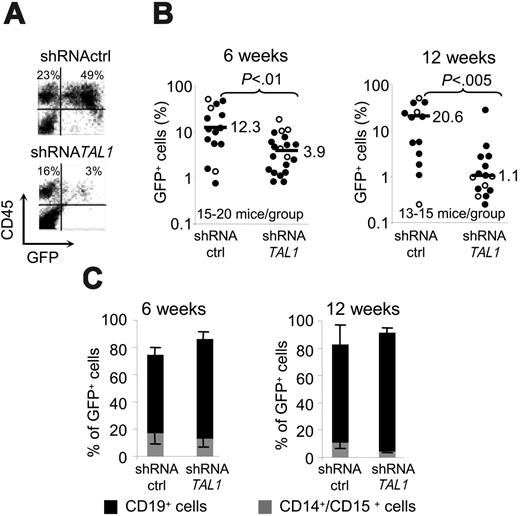 Figure 4. Decreased expression of TAL1 alters human hematopoietic recovery after transplantation into NOD-SCID mice. Transduced CD34+ cells were injected into NOD-SCID mice for SRC analysis. FACS analysis of mice bone marrow was performed 6 weeks and 12 weeks after transplantation. (A) Engraftment of human CD45+/GFP+ and human CD45+/GFP– cells in 2 representative mice 12 weeks after injection of shRNActrl or shRNATAL1 transduced CD34+ cells. (B) Engraftment levels of GFP+ cells for mice that underwent transplantation either intravenously (•) or intrabone (○); the horizontal bars indicate median % of CD45+/GFP+ cells measured for injected mice of each condition. (C) When the level of engraftment was sufficient, the relative proportion of myeloid CD14+/CD15+ and B-lymphoid CD19+ cells issued from ST-SRCs and LT-SRCs was determined. Lower and upper SE bars are related to CD14+/CD15+ and CD19+ cells, respectively.