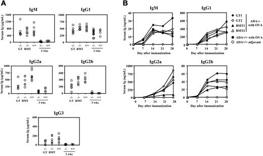 Figure 5. Serum immunoglobulins and in vivo humoral responses. (A) IgM and subclasses of IgG immunoglobulins (Ig) were quantified in the serum collected from ADA–/– mice that received GT (–/– GT; n = 6) or BMT (–/– BMT; n = 6), 17 weeks after treatment. Serum Ig from untreated age-matched ADA+/+ mice (n = 7), 18-day-old ADA–/– mice (n = 13), or ADA+/+ mice (n = 4) are shown as controls. Each dot represents values obtained in a single mouse. Serum IgM, IgG1, and IgG3 were normal in ADA–/– GT and ADA–/– BMT mice, while IgG2a levels were not different between GT and BMT. (B) Ova-specific Ig production. ADA–/– mice treated with GT (n = 2) or BMT (n = 2) and age-matched ADA+/+ mice were challenged with Ova or adjuvant only. Ova-specific Ig belonging to different classes were measured weekly in the serum for 1 month.