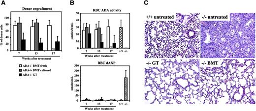 Figure 6. Long-term engraftment of donor cells, correction of systemic detoxification and lung alterations after neonatal treatment. (A) The percentage of donor cells was evaluated in peripheral blood–nucleated cells from ADA–/– mice treated with fresh (ADA–/– BMT fresh; n = 8) or cultured BM (ADA–/– BMT cultured; n = 5), and GT (ADA–/– GT; n = 5) at the indicated time by quantitative PCR for donor cells. ND indicates not done. (B) ADA activity (top) and dAXP levels (bottom) were measured in RBCsof ADA–/– mice treated with fresh (ADA–/– BMT fresh) or ex vivo cultured BM (ADA–/– BMT cultured), as well as with GT (ADA–/– GT) at 7, 13, and 17 weeks after treatment. Values obtained from untreated age-matched ADA+/+ mice (+/+; n = 9) and 18-day-old ADA–/– mice (–/–; n = 10) are also shown. ND indicates not done. Values in panels A and B are shown as mean ± SD. (C) Histopathologic analysis (×5 magnification) of H&E-stained sections from lungs of untreated ADA+/+ (top left panel) and ADA–/– (top right panel), and ADA–/– mice given transplants of LV-transduced BM cells (–/– GT; bottom left panel) or ADA+/+ BM cells (–/– BMT; bottom right panel). Tissues from ADA+/+, GT, and BMT mice were collected at 6 months after treatment, and from untreated ADA–/– mice at 18 days after birth.