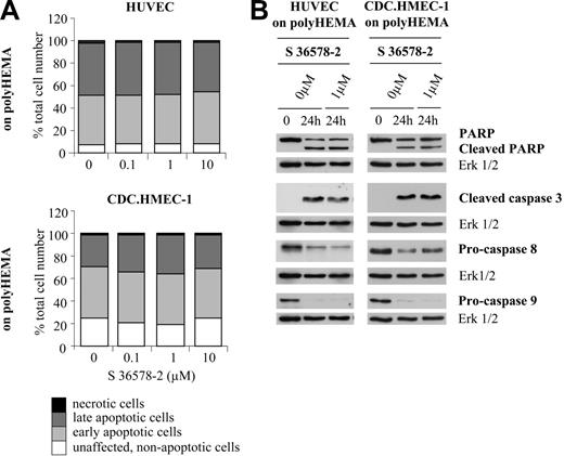 Figure 5. Effects of S 36578-2 on HUVECs and CDC.HMEC-1 cells maintained in suspension. S 36578-2 was added to HUVECs or CDC.HMEC-1 cells, as indicated, at the time of seeding on polyHEMA. (A) Floating cells were collected 24 hours after treatment. Apoptosis was assessed by flow cytometry after annexin V and propidium iodide staining. Results of 1 of 2 experiments with similar results are shown. (B) Procaspase-8, procaspase-9, cleaved caspase-3, and PARP were detected by Western blotting. Erk1/2 was used as loading control. Results of 1 of 4 representative experiments are shown.