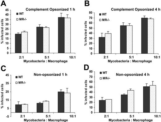 Figure 1. MR is not essential for the phagocytosis of M avium 724. BMMϕs from WT or MR–/– mice were infected with different ratios of complement opsonized (A-B) or nonopsonized (C-D) mycobacteria for 1 hour (A,C) or 4 hours (B,D). After infection, cells were washed, fixed, and stained with Auramine M. The percentage of phagocytic cells having ingested at least one mycobacterium was measured by fluorescence microscopy as described in “Materials and methods.” Values are expressed as means + SD. Data are representative of 3 separate experiments.