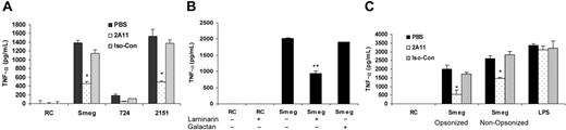 Figure 4. Dectin-1 functions to promote TNF-α production in M smegmatis– and M avium 2151–infected macrophages. BMMϕs were infected with (A) M smegmatis or M avium 724 or M avium 2151 in the presence of PBS or anti–dectin-1 mAb 2A11 or isotype control Ab, (B) M smegmatis in the presence of laminarin or galactan, and (C) complement opsonized or nonopsonized M smegmatis in the presence of PBS, 2A11, or isotype control Ab. Also shown are LPS-treated BMMϕs with or without antibodies. Culture supernates after 24 hours of infection were analyzed for TNF-α by ELISA. *Significant to M smegmatis plus PBS (P < .01). **Significant to M smegmatis alone and M smegmatis plus galactan (P < .01). Values are expressed as means + SD. Data are representative of 3 separate experiments. Iso-Con indicates isotype control Ab; Smeg, M smegmatis; and RC, noninfected BMMϕs.