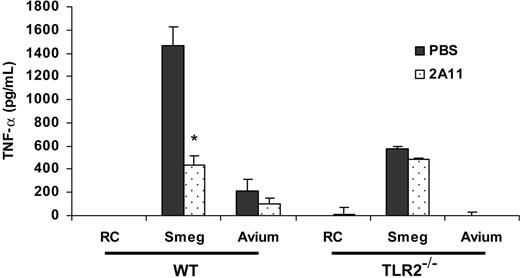 Figure 5. Dectin-1–mediated induction of TNF-α by BMMϕs infected with M smegmatis requires TLR2. BMMϕs from WT or TLR2–/– mice were infected with M smegmatis or M avium 724 in the presence of anti–dectin-1 mAb 2A11. After a 4-hour infection, BMMϕs were washed, fresh medium was added to the cells, and infection was continued for a total of 24 hours. Culture supernates were analyzed by ELISA for TNF-α. *Significant to M smegmatis plus PBS (P < .01). Values are expressed as means + SD. Data are representative of 3 separate experiments. Smeg indicates M smegmatis; Avium, M avium; and RC, noninfected BMMϕs.