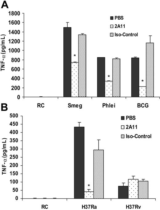 Figure 6. Dectin-1 promotes TNF-α production induced in BMMϕs upon infection with nonpathogenic or attenuated mycobacteria but not H37Rv. BMMϕs were infected with M smegmatis, M phlei, or M bovis BCG (A) or M tuberculosis strains H37Rv and H37Ra (B) in the presence of anti–dectin-1 mAb 2A11 or isotype control Ab. After a 4-hour infection, BMMϕs were washed, fresh medium was added to the cells, and the infection was continued for a total of 24 hours. Culture supernates were analyzed by ELISA for TNF-α. *Significant to mycobacteria plus PBS (P < .01). Values are expressed as means + SD. Data are representative of 3 separate experiments. Smeg indicates M smegmatis; RC, noninfected BMMϕs; and Iso-Control, isotype control Ab.