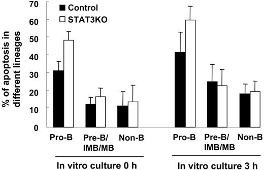 Figure 5. Enhanced apoptosis of pro-B cells in the BM of STAT3KO mice. BM cells of control (▪) or STAT3KO (□) mice were incubated in the culture medium for 0 hour or 3 hours and were stained with anti-B220, anti-CD43, and annexin V, then FACS analysis was performed. Percentages of apoptotic pro-B (CD43+B220+annexin V+), pre-B/IMB/MB (CD43–B220+ annexin V+), and non-B (B220– annexin V+) were plotted (control mice, n = 8; STAT3KO mice, n = 5). Apoptosis results are presented as mean ± SE of replicate samples.