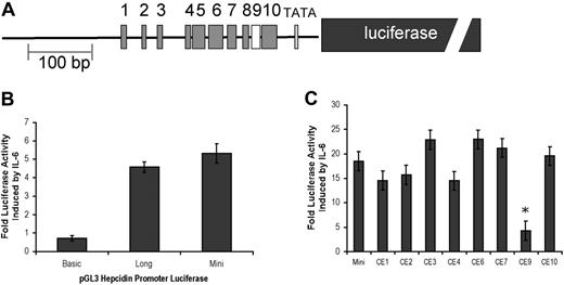 Figure 3. Conserved element 9 mediates IL-6 responsiveness. (A) A diagram of hepcidin mini shows conserved elements (CEs) 1-10 and the luciferase reporter gene (dark gray box). (B) Hep G2/2.2.1 cells were transiently transfected with control plasmid-expressing Renilla luciferase along with one of the following firefly luciferase reporter genes: a 1.3-kb (long) or 0.6-kb (mini) fragment of the 5′ flanking region of the hepcidin gene or a promoterless negative control (basic). At 48 hours after transfection, cells were serum starved for 6 hours and induced with 20 ng/mL IL-6. After 16 hours, firefly luciferase activity (normalized to Renilla luciferase as a transfection control) was measured and compared with activity from uninduced cell lysates. (C) Mutations in hepcidin mini were introduced into CEs 1-4, 6-9, and 10 by site-directed mutagenesis. Each mutant promoter–firefly luciferase plasmid was transiently transfected into HepG2/2.2.1 cells and induced with IL-6 as described in “Materials and methods.” Fold luciferase activity above uninduced controls was compared with that of hepcidin mini. Error bars represent standard error. *P < .001.