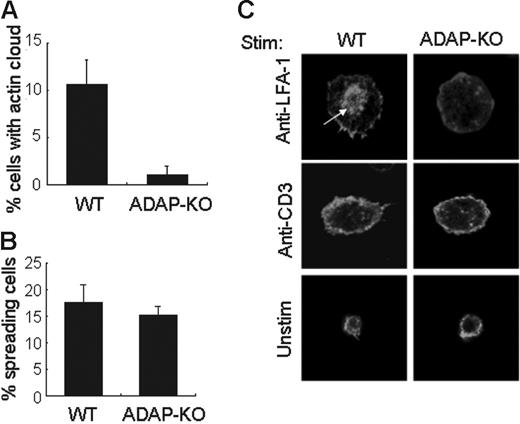Figure 3. Failure of actin cloud formation by T cells from ADAP-KO mice. (A) Quantification of T cells with actin cloud formation upon stimulation with immobilized anti–LFA-1 Ab from wild-type (WT) and ADAP-KO mice. The percentage represents T cells with actin clouds among T cells with LFA-1–induced spreading. (B) Quantification of T cells with cell spreading upon stimulation with immobilized anti-CD3 Ab. Data in A and B represent the mean ± SD of 500 cells each in 3 experiments. (C) Confocal analysis of representative cells in panels A and B. Splenic T cells from wild-type (WT) and ADAP-KO mice were unstimulated (Unstim) or stimulated with immobilized anti–LFA-1 or anti-CD3 Ab. White arrow indicates the actin cloud. For panels A and B, more than 500 cells were analyzed.