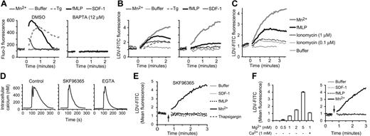 Figure 3. Role of intracellular and extracellular calcium in fMLP- and SDF-1–induced LDV-FITC binding. U937-FPR cells pretreated with either DMSO (0.1%, 30 minutes) or BAPTA-AM (12 μM, 30 minutes) were stimulated at time 0 with Mn2+, buffer, thapsigargin (Tg; 1 μM), fMLP, or SDF-1. Intracellular calcium levels (Fluo-3 fluorescence; A) and LDV-FITC binding (B) were analyzed in real time by flow cytometry. One of 4 independent experiments is shown. (C) Illustrates LDV-FITC binding induced by ionomycin (0.1 and 1 μM) compared with Mn2+, fMLP, and buffer control. (D) Single-cell calcium imaging of Fura-2–loaded U937-FPR cells stimulated with fMLP in the presence of DMSO (control), SKF96365 (100 μM), or EGTA (5 mM). (E) LDV-FITC binding to U937-FPR cells pretreated with SKF96365 prior to stimulation (arrow) with fMLP, SDF-1, Mn2+, or thapsigargin. One of 4 independent experiments is shown. (F) Basal LDV-FITC binding (mean ± SEM) to U937-FPR cells in assay buffer containing the indicated concentrations of Mg2+ and Ca2+ (left). U937-FPR cells were stimulated (arrow) with fMLP, SDF-1, or Mn2+ and analyzed for LDV-FITC binding in a calcium-free assay buffer containing 1 mM Mg2+ (right). One of 3 independent experiments is shown.