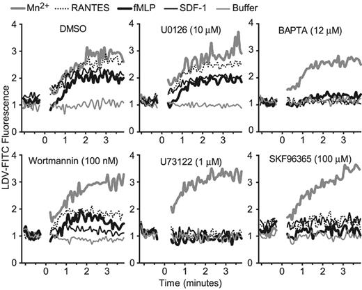 Figure 5. Inhibition of PLC and calcium, but not p44/42 MAPK or PI3K, abrogates RANTES-, fMLP-, and SDF-1–induced LDV-FITC binding to human peripheral blood monocytes. Purified blood monocytes were pretreated with DMSO, U0126 (10 μM), wortmannin (100 nM), U73122 (1 μM), BAPTA-AM (12 μM), or SKF96365 (100 μM) and then stimulated with RANTES (12.5 nM), fMLP (100 nM), or SDF-1 (12.5 nM). LDV-FITC binding was measured by flow cytometry in real time. One of 3 independent experiments is shown.