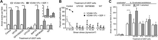 Figure 7. Leukocyte arrest and adhesion strengthening is critically dependent on PLC, calcium influx, and calmodulin. (A) U937-FPR cells pretreated with the indicated inhibitors were infused at 1 dyne/cm2 into parallel plate flow chambers coated with VCAM-1 ± SDF-1. The number of cells arrested after 2 minutes is shown. Significant differences within groups (± SDF-1) are indicated with brackets (P < .05). U73122, SKF96365, and W7 inhibited the response to SDF-1 (asterisks, P < .05). The inset shows data from assays in which the adhesion surface was coated with VCAM-1 at 50% density. (B) U937-FPR cells pretreated with the indicated inhibitors were allowed to adhere for 2 minutes under static conditions to parallel plate flow chambers coated with VCAM-1 ± SDF prior to the introduction of flow at incrementally increasing shear rates. The percentage of cells remaining attached at each shear rate is shown. U73122, SKF96365, and W7 significantly inhibited adhesion strengthening to VCAM-1 alone (*), or in combination with SDF-1 (#) (P < .05). (C) U937-FPR cells pretreated with the indicated inhibitors were infused for 6 minutes at 1 dyne/cm2 into parallel plate flow chambers containing monolayers of human aortic endothelial cells. Monolayers were unactivated or treated with IL-1β (30 U/mL) for 24 hours. SDF-1 was adsorbed onto some of the monolayers immediately prior to infusion of leukocytes. The number of leukocytes arrested on the endothelial monolayers is shown (mean ± SEM, n ≥ 3 independent experiments). PTx, U73122, and BAPTA-AM, but not U0126, treatment of U937 cells induced significant differences (asterisks, P < .05) in arrest on monolayers with adsorbed SDF-1.