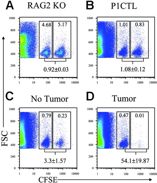 Figure 5. In vivo cytotoxicity of T cells produced in tumor-bearing hosts. Rag2− /− mice were challenged with tumor cells or left unchallenged. Two days later, the mice were reconstituted with T-depleted bone marrow cells from P1CTL mice. At 4 weeks after reconstitution, they received an intravenous injection of a mixture of P1A-pulsed (CFSEhi) and control peptide-pulsed (CFSElo) syngeneic BALB/c spleen cells (5 × 106 each). The spleens were harvested and analyzed by flow cytometry for distribution of fluorescence. Data shown are dot plots, showing the forward scatters and fluorescence intensity. CFSEhi and CFSElo cells are gated as indicated. The number shown in the gates are the percent of gated cells, whereas the number shown underneath the gates are means and SDs of the ratios of CFSElo/CFSEhi cells. The data indicate drastically stronger cytolysis of P1A-pulsed targets by CTLs in tumor-bearing hosts. The recipients used were: (A) control RAG-2–deficient mice without tumor challenge; (B) P1CTL mice without tumor challenge; (C) unchallenged RAG-2–deficient mice reconstituted with T-depleted P1CTL bone marrow; and (D) tumor-challenged RAG-2–deficient mice reconstituted with T-depleted P1CTL bone marrow. Data shown are representative of 2 independent experiments involving a total of 3 to 5 mice per group. Two-sided Student t tests indicate a very significant difference between the cytolysis found in tumor-bearing hosts versus all other groups (P < .001). None of the other differences are statistically significant.