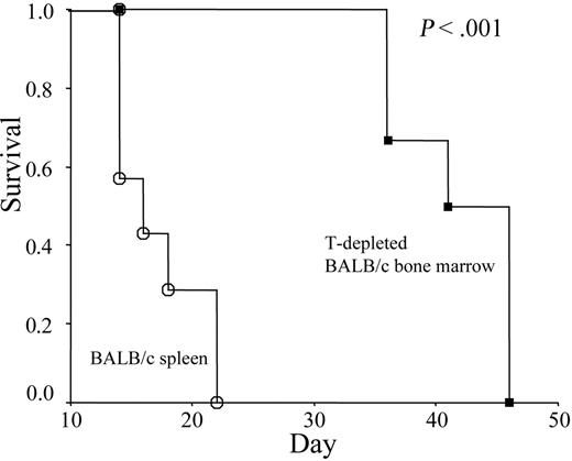 Figure 7. T-depleted allogeneic bone marrow cells cause rejection of pre-established skin grafts. RAG-2–deficient mice were given skin grafts from C57BL/6j mice. Survival of the skin grafts was monitored over a 2- to 3-month period. Kaplan-Meier curves depict skin graft survival in mice treated with either T-depleted bone marrow (n = 6; ▪) or undepleted spleen cells (n = 7; ○). The rejection of allogeneic skin grafts after treatment with T-depleted bone marrow has been observed in 2 independent experiments.